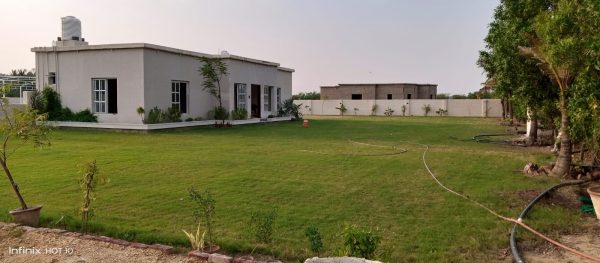 Luxury Corporate Farm House